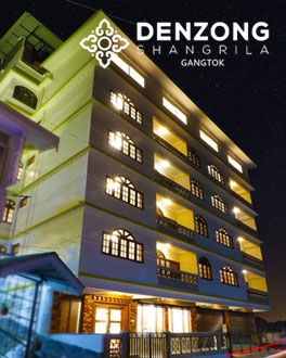 Hotel Denzong Shangrila - Hotel in Gangtok